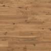 Vibrant Timber Grading